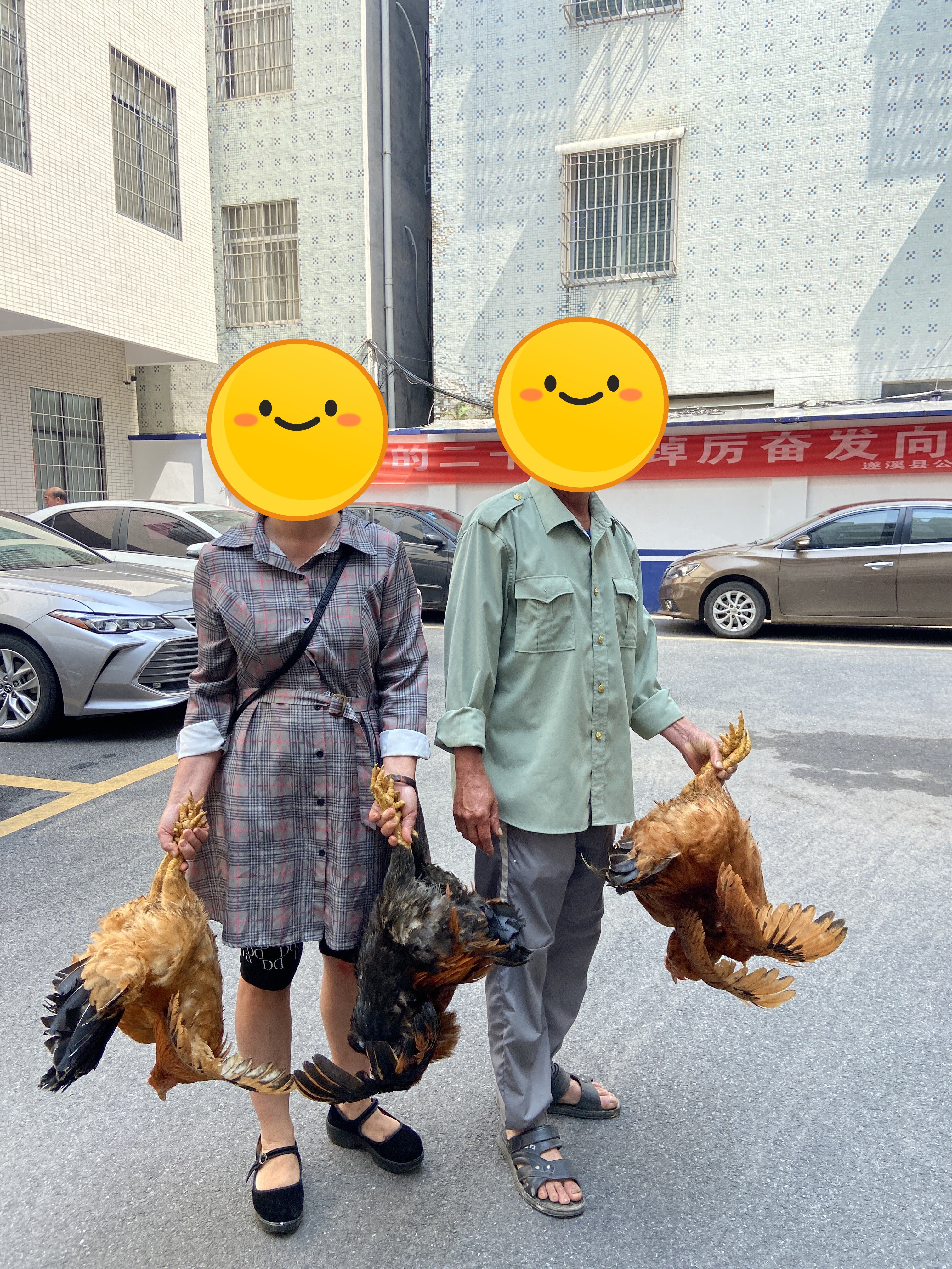 城东偷鸡案.jpg