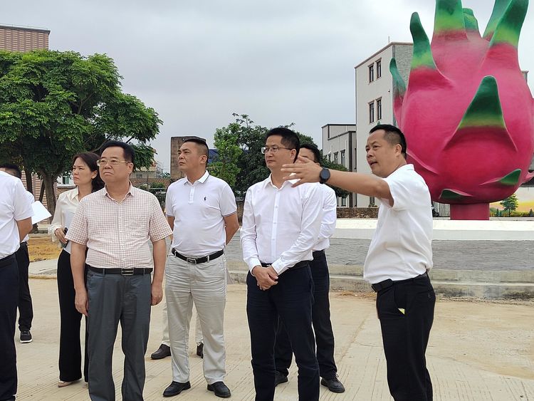 骆华庆率队到杨柑镇布政村调研乡村振兴示范村创建工作