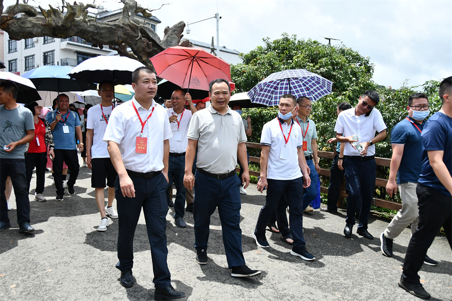 草潭镇组织开展党建引领乡村振兴外出考察学习活动_遂溪县人民政府公众网站
