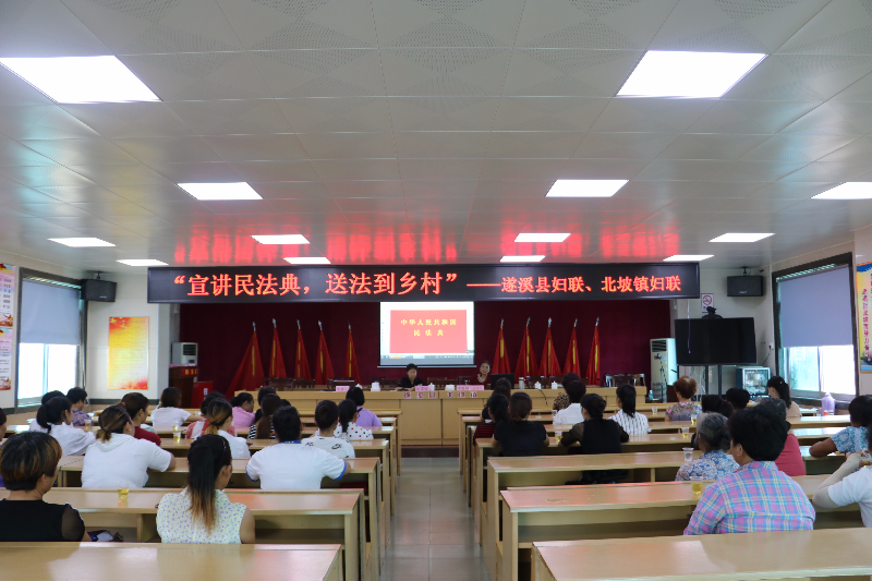 02李雪鸥宣讲民法典.JPG