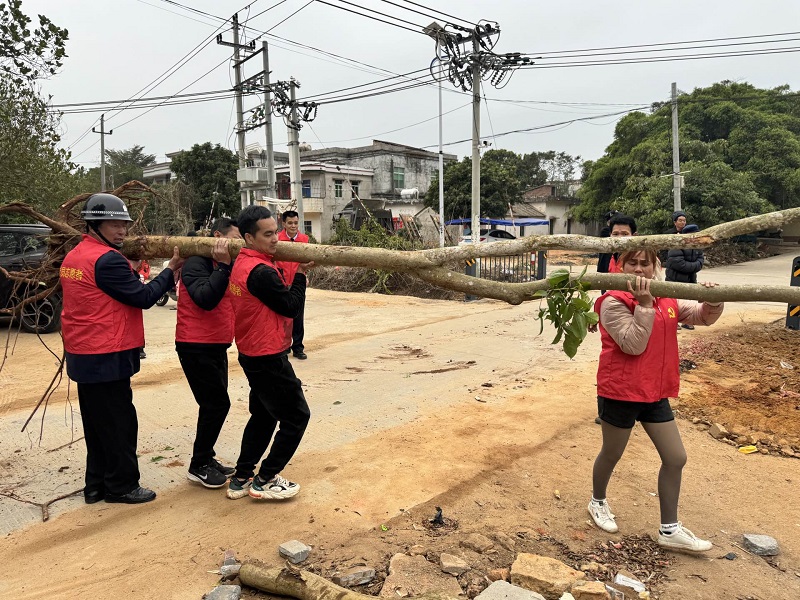 凝心聚“绿”植新树，人大代表显担当