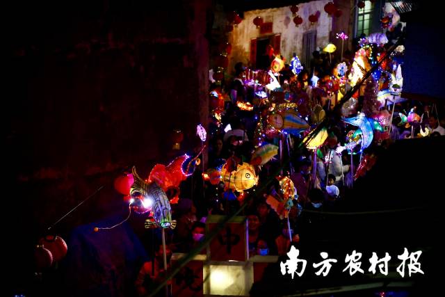 夜幕降临，北坡游鱼流光溢彩。