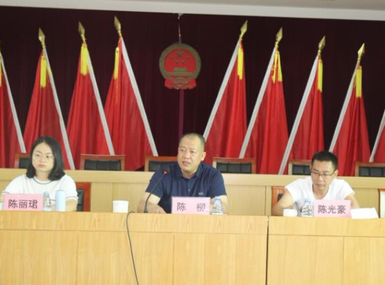 建新镇党委书记陈柳讲话.jpg
