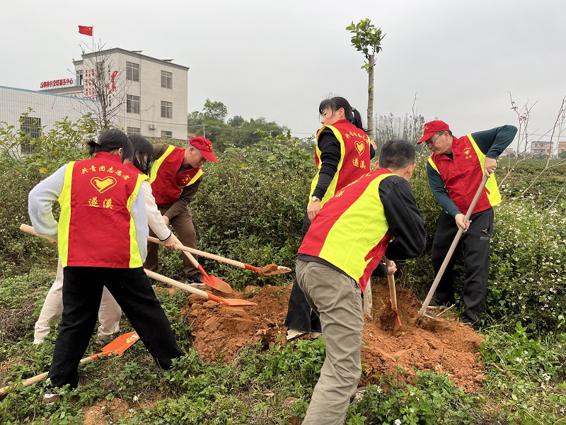 图6：乐民中学老师在调神村植树点植树.jpg