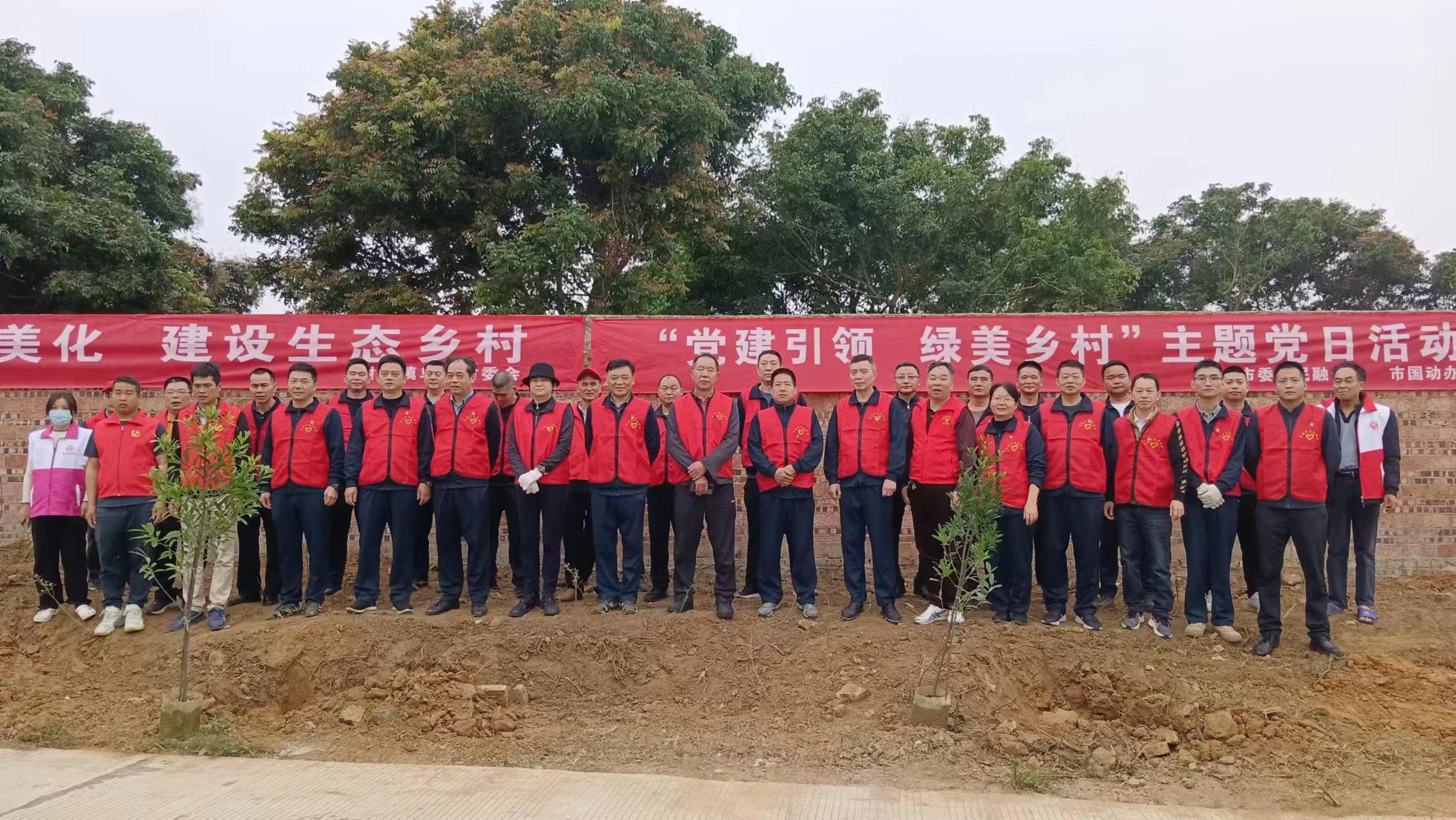 图片11.png