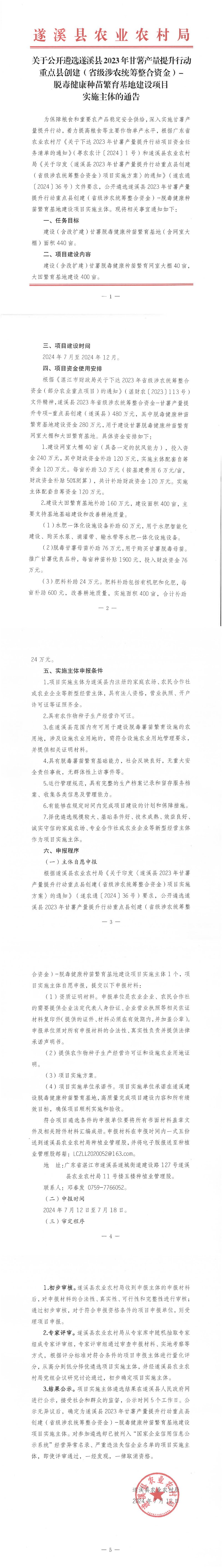 关于公开遴选遂溪县2023年甘薯产量提升行动重点县创建（省级涉农统筹整合资金）-脱毒健康种苗繁育基地建设项目实施主体的通告_00.png
