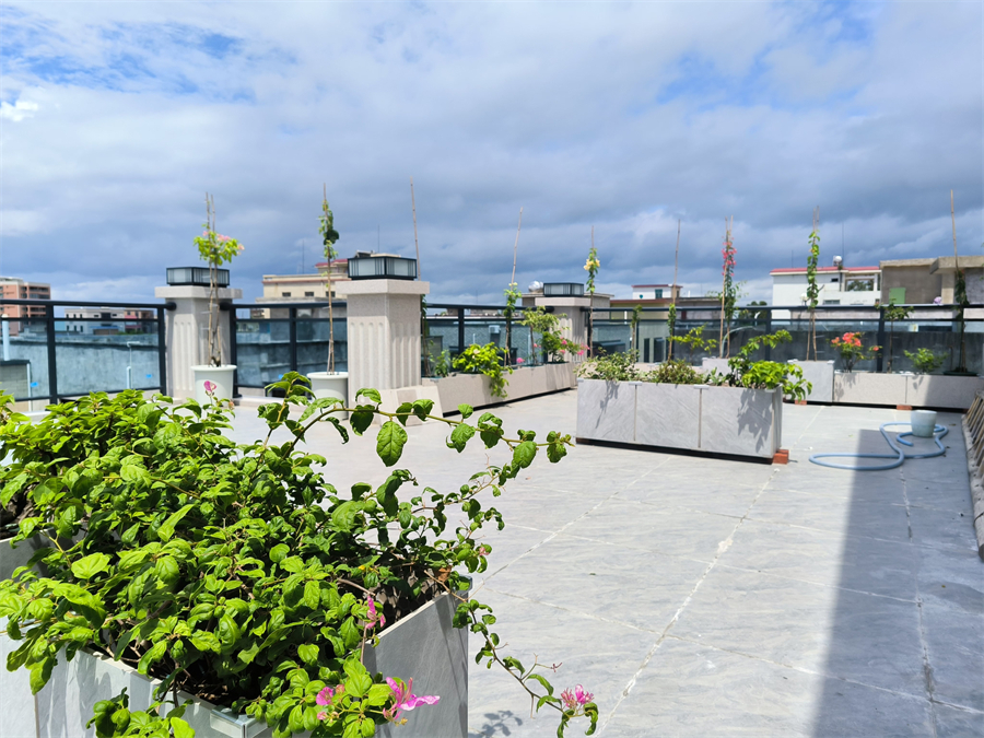 草潭镇新建村.jpg