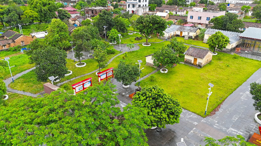美丽庭院 党建引领.JPG