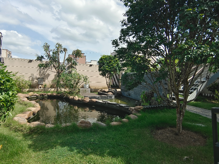 美丽庭院水塘景观.jpg