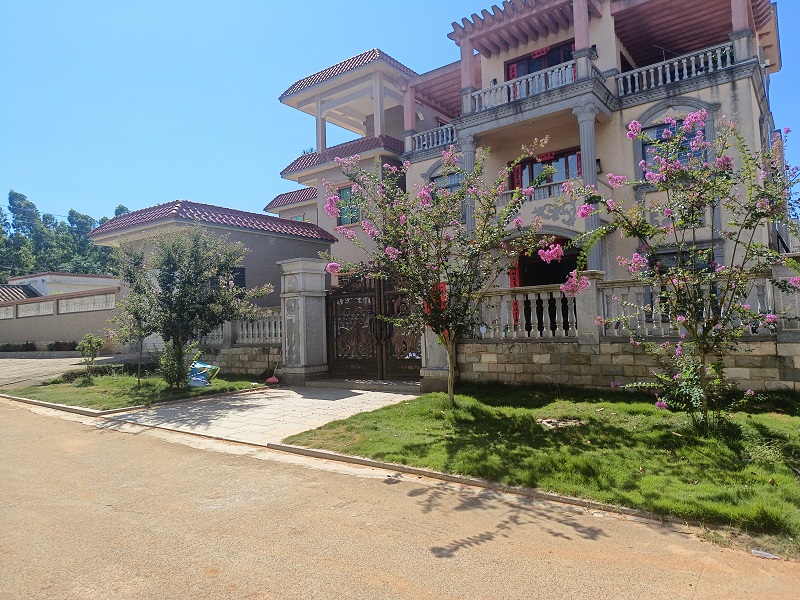 2 墩文村美丽庭院.jpg