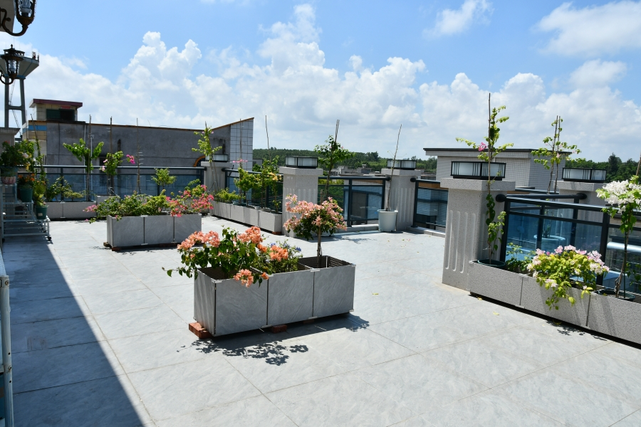 新建村典型户袁华仙家.jpg