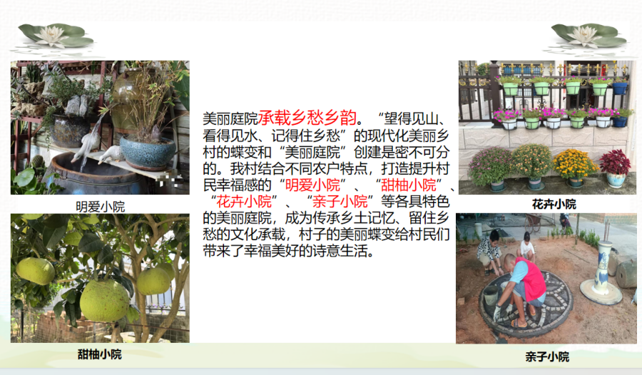 图片16.png
