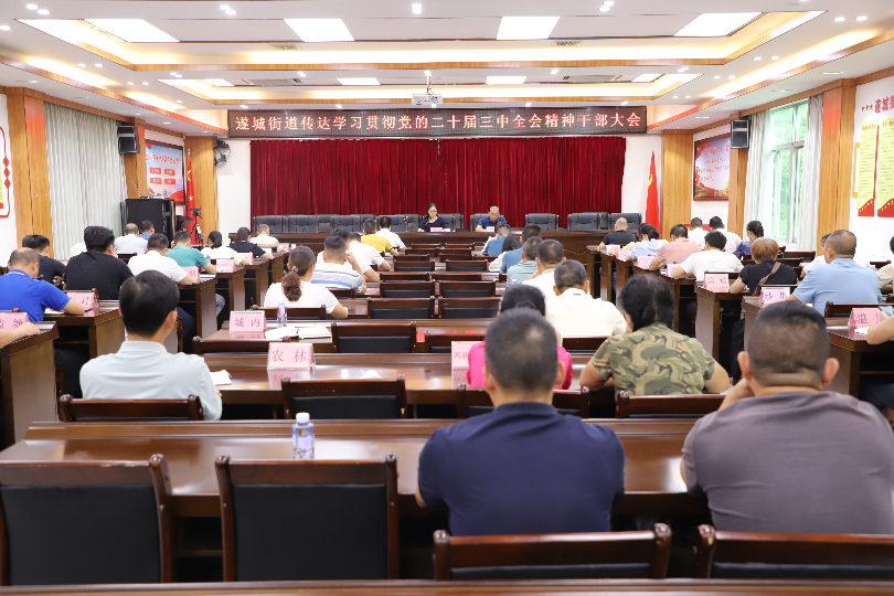 遂城街道传达学习贯彻党的二十届三中全会精神干部大会1.JPG
