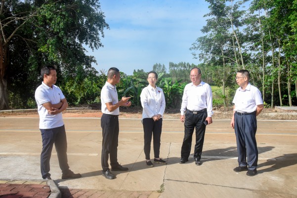 湛江市人大常委会党组副书记、副主任陈云率队到遂溪县建新镇车路头村开展典型村创建调研工作