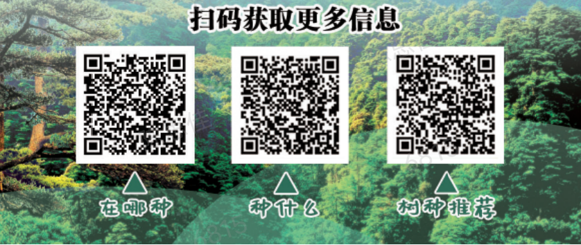 图片1(3).png