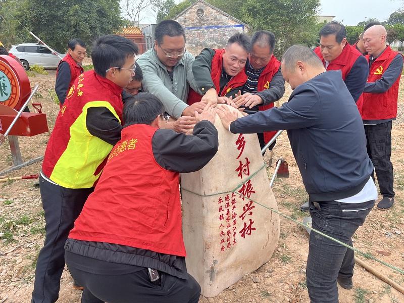 3 矗立“乡村振兴林”石碑.JPG
