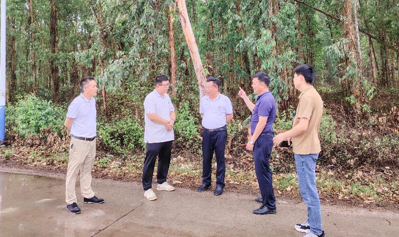 遂溪县政协主席潘汝权带队督导杨柑镇安全生产