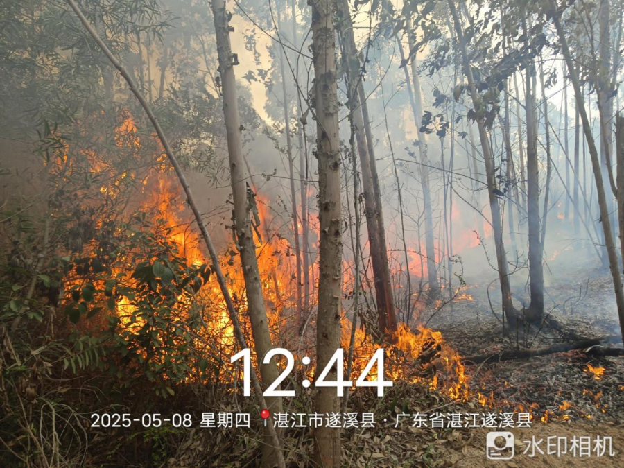 图片5.png