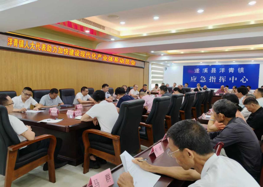 洋青镇人大：召开人大代表助力加快建设现代化产业体系动员会