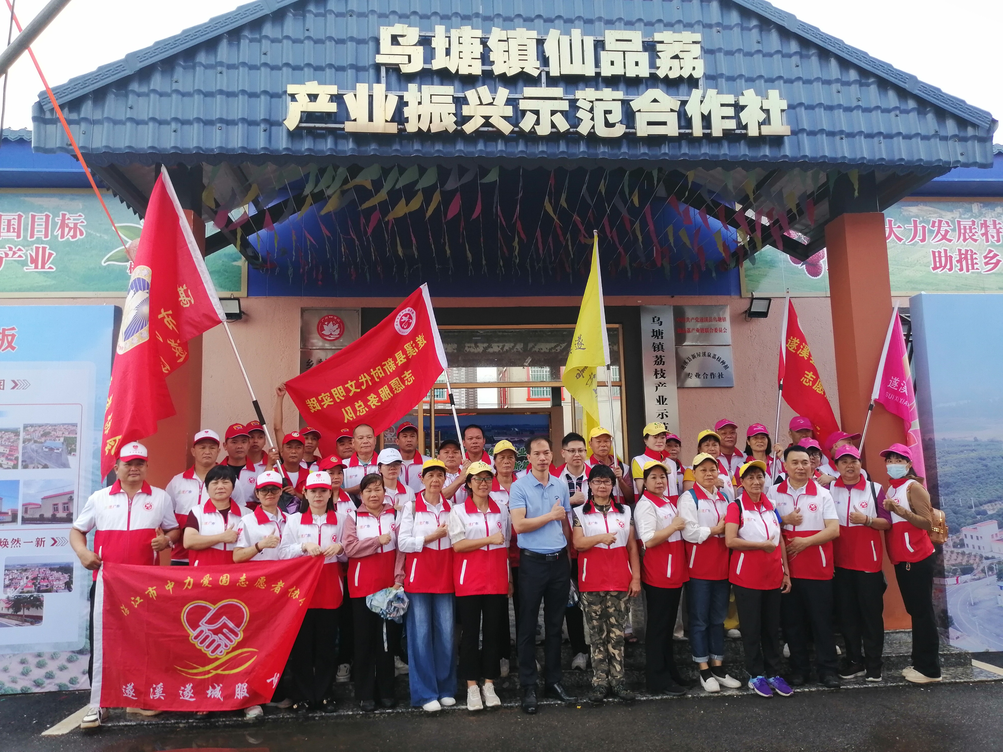 荔香乌塘 志愿添彩——遂溪县志愿力量助力“仙品荔”开采