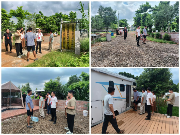 黄略镇人大开展政府民生实事项目专题视察活动——聚焦房车营地建...