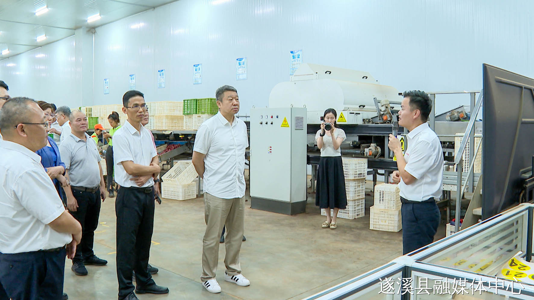 湛江市人大常委会到遂溪县调研特色现代农业发展情况