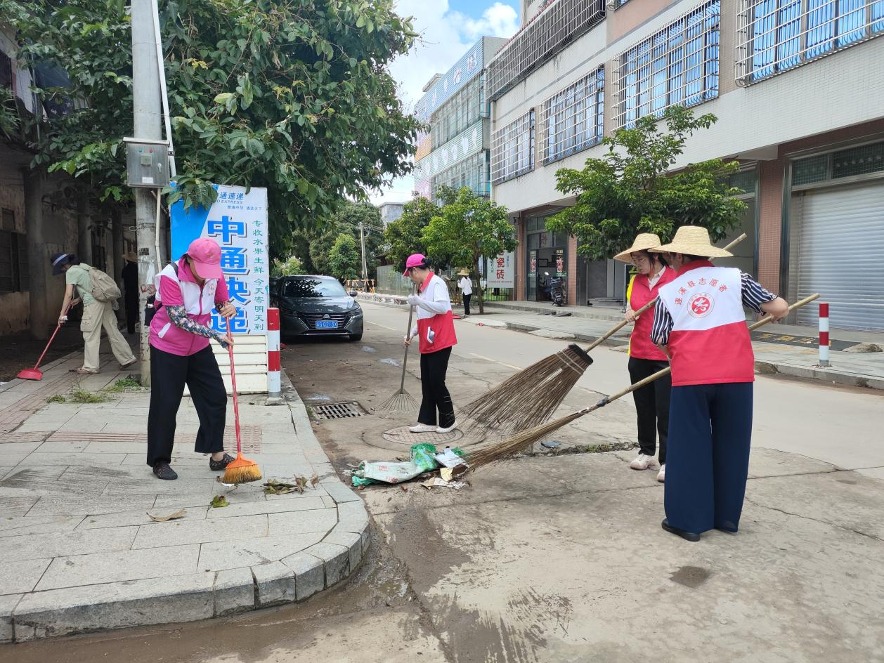 青春聚力“百千万工程” | 团县委联动各镇（街）团（工）委开...