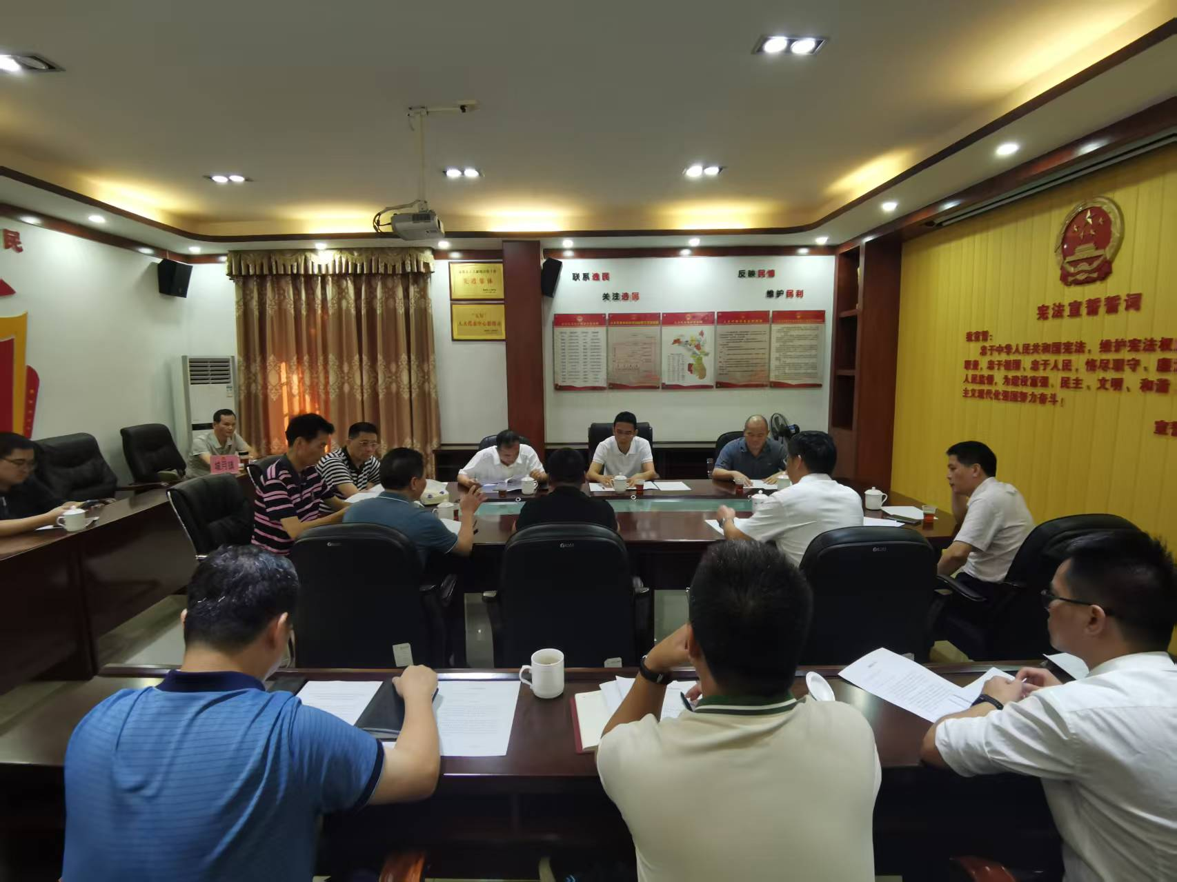 遂溪县人大常委会党组书记、主任沈东宇到城月镇督导信访事项、典...