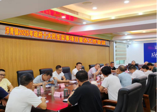 洋青镇人大：召开2025年政府十大民生实事项目督办工作会议