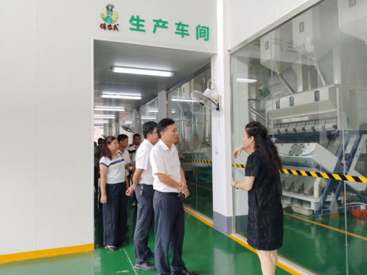 河头镇人大：组织代表赴吴川市吴阳镇考察学习