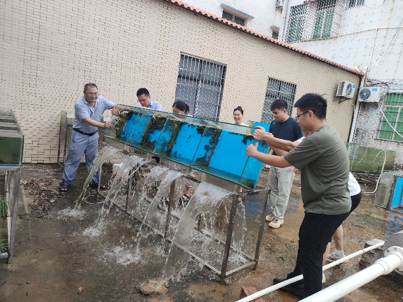 倒积水4.jpg