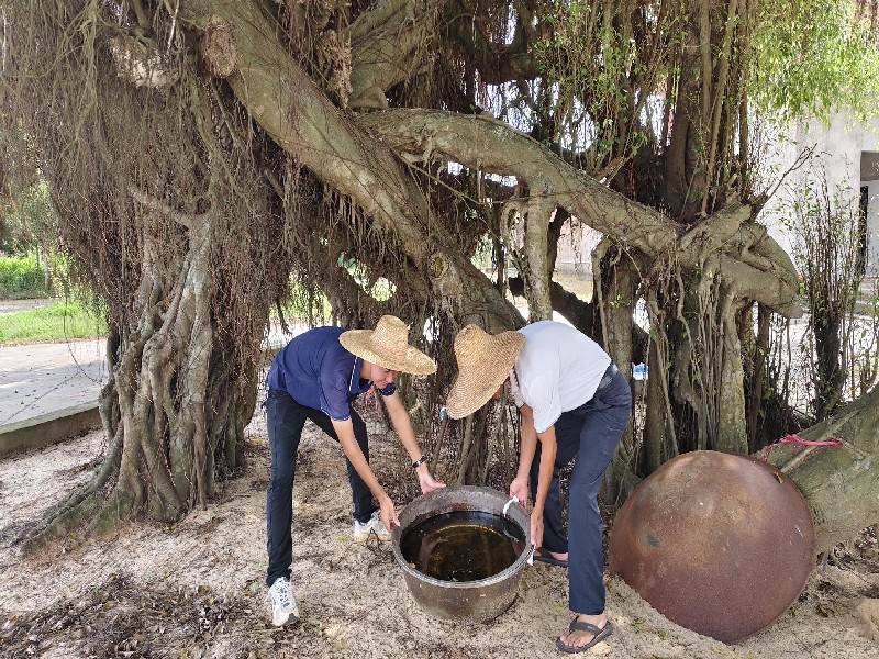 清理积水3.jpg