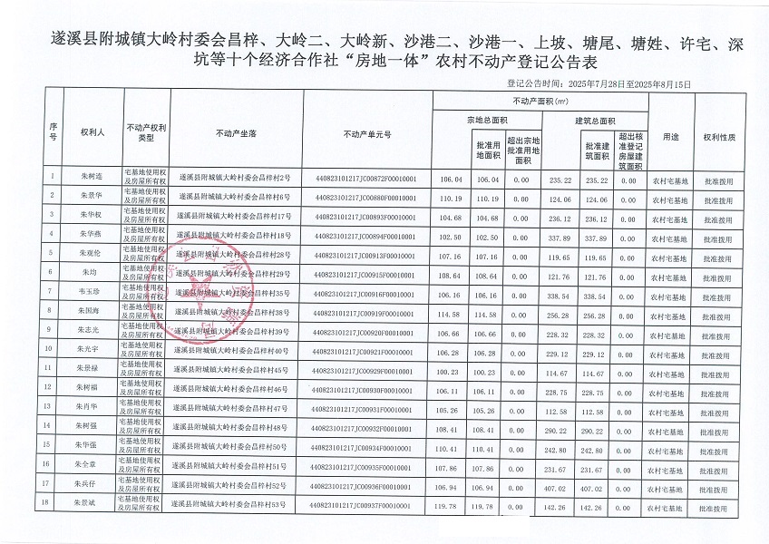 附城镇大岭村委会昌梓、大岭二、大岭新、沙港二、沙港一、上坡、塘尾、塘姓、许宅经济合作社不动产登记公告（历史遗留问题）_页面_2.jpg