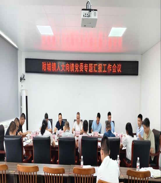 附城镇人大：向党委专题汇报人大工作