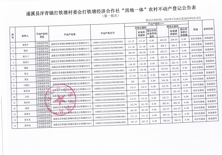 洋青镇打铁塘村委会打铁塘经济合作社不动产登记公告（第一批次）（历史遗留问题）_页面_2.jpg