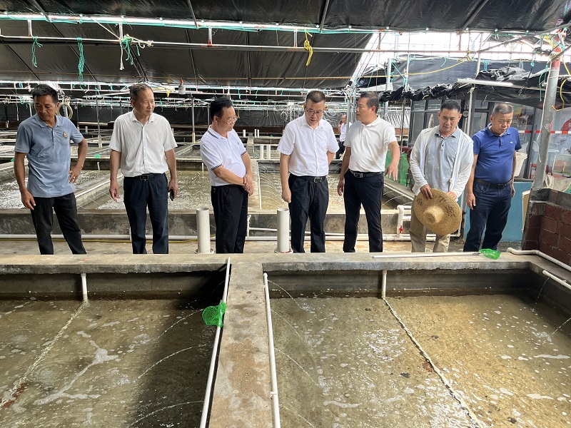 市政协到乐民镇开展“百千万工程”工作考察调研