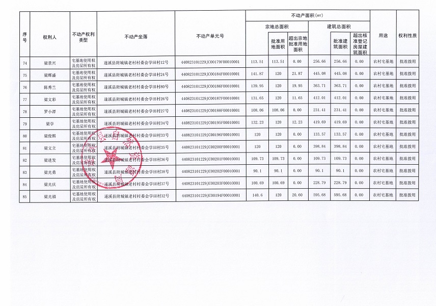 附城镇老村村委会黄竹朗等六个经济合作社不动产登记公告（第二批次）（历史遗留问题）_页面_6.jpg