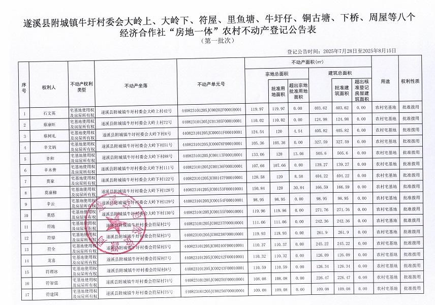 附城镇牛圩村委会大岭上等八个经济合作社不动产登记公告（第一批次）（历史遗留问题）_页面_2.jpg