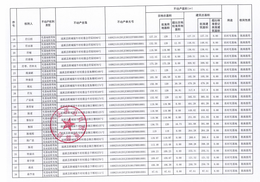 附城镇牛圩村委会大岭上等八个经济合作社不动产登记公告（第一批次）（历史遗留问题）_页面_3.jpg