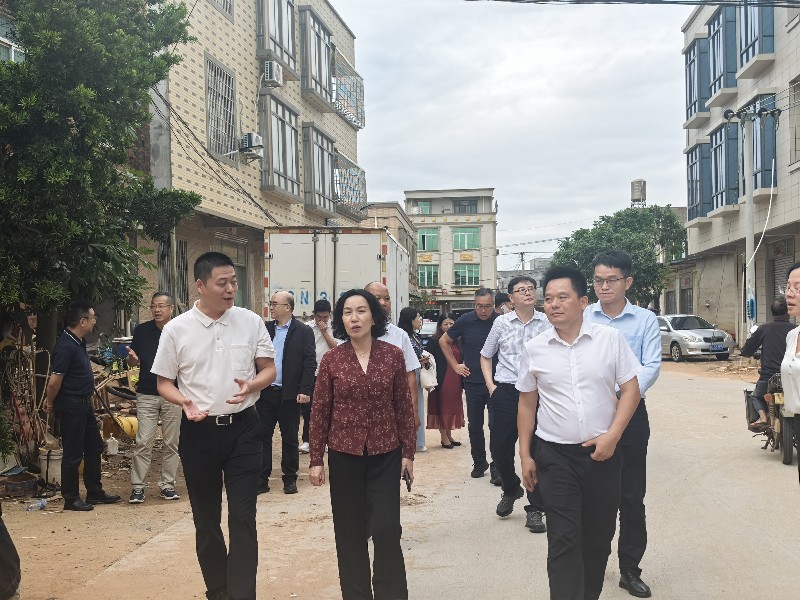 图2：越秀区政协郭环主席深入乐民村开展实地调研.jpg