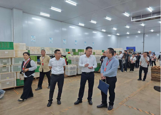 洋青镇人大：灵山县三隆镇人大到洋青镇考察