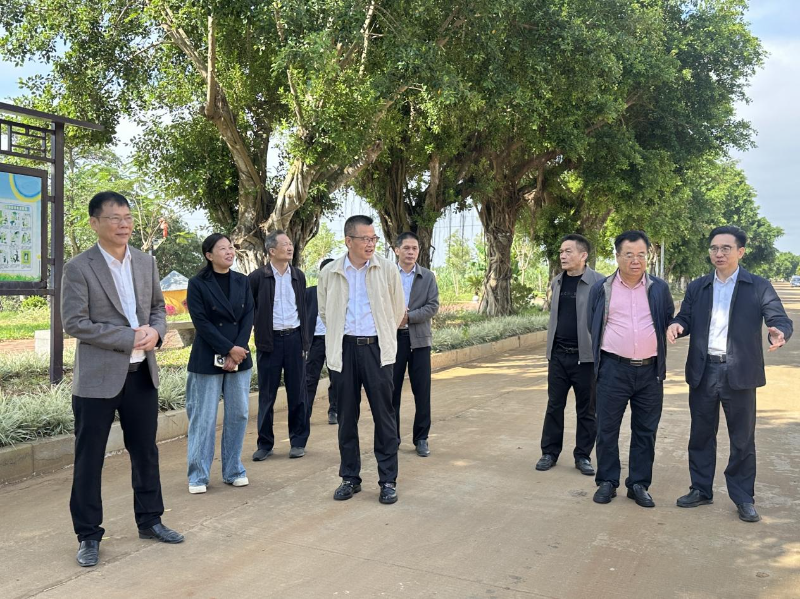 市政协副主席杨文光率队到遂溪县指导“百千万工程”工作