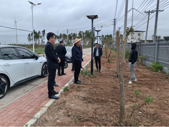 乐民镇人大：开展典型村建设督导 助力“百千万工程”提质增效