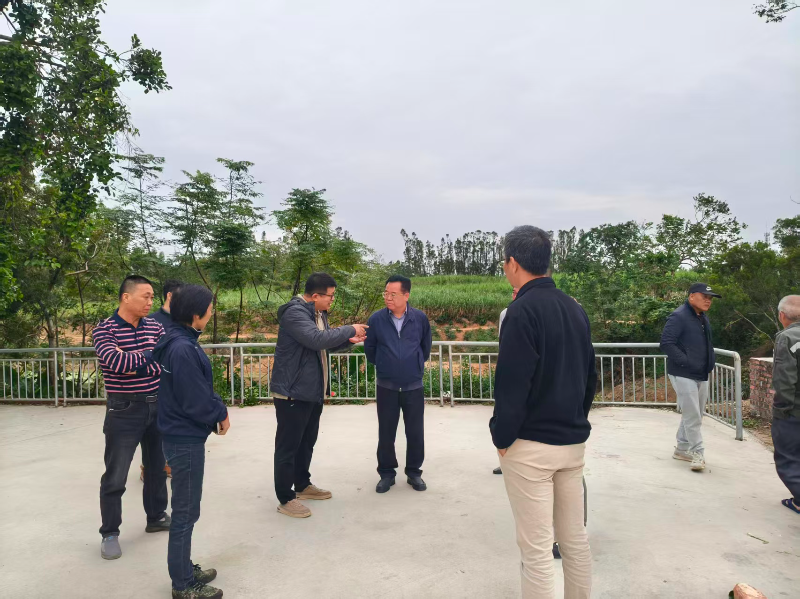 遂溪县政协主席潘汝权赴杨柑镇白银树村指导典型村建设工作