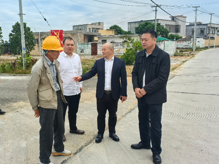 朱力到洋青镇督导调研“百千万工程”典型村培育建设工作