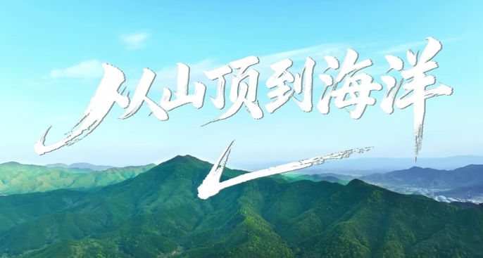 从山顶到海洋：绿美广东收官礼