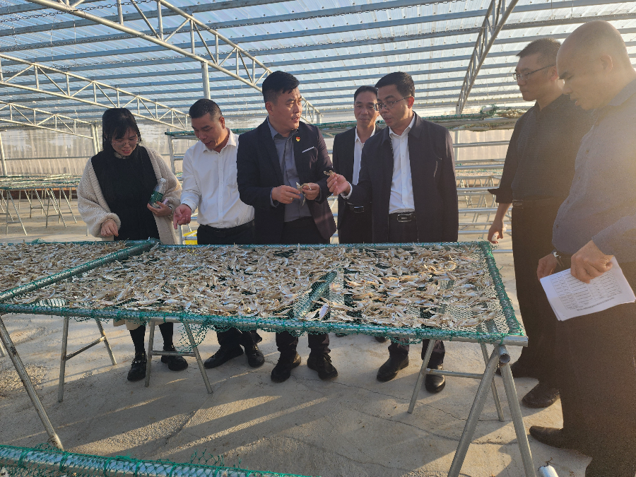 黄彦彤率队开展赋能红色传承与产业发展调研