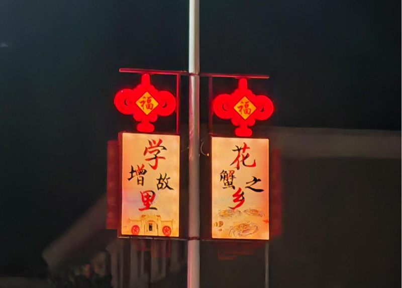 图4:乐民镇镇区路灯灯箱特写.png