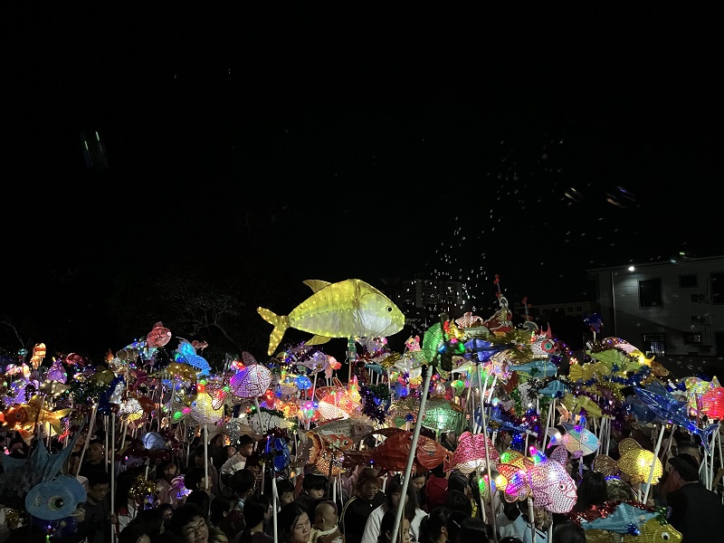 鱼灯亮,民俗旺!遂溪乐民二月二盛会启新篇