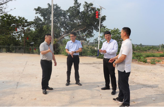 刘桂兴、陈德到乐民镇督导典型村建设